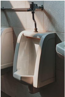 Delany urinal 